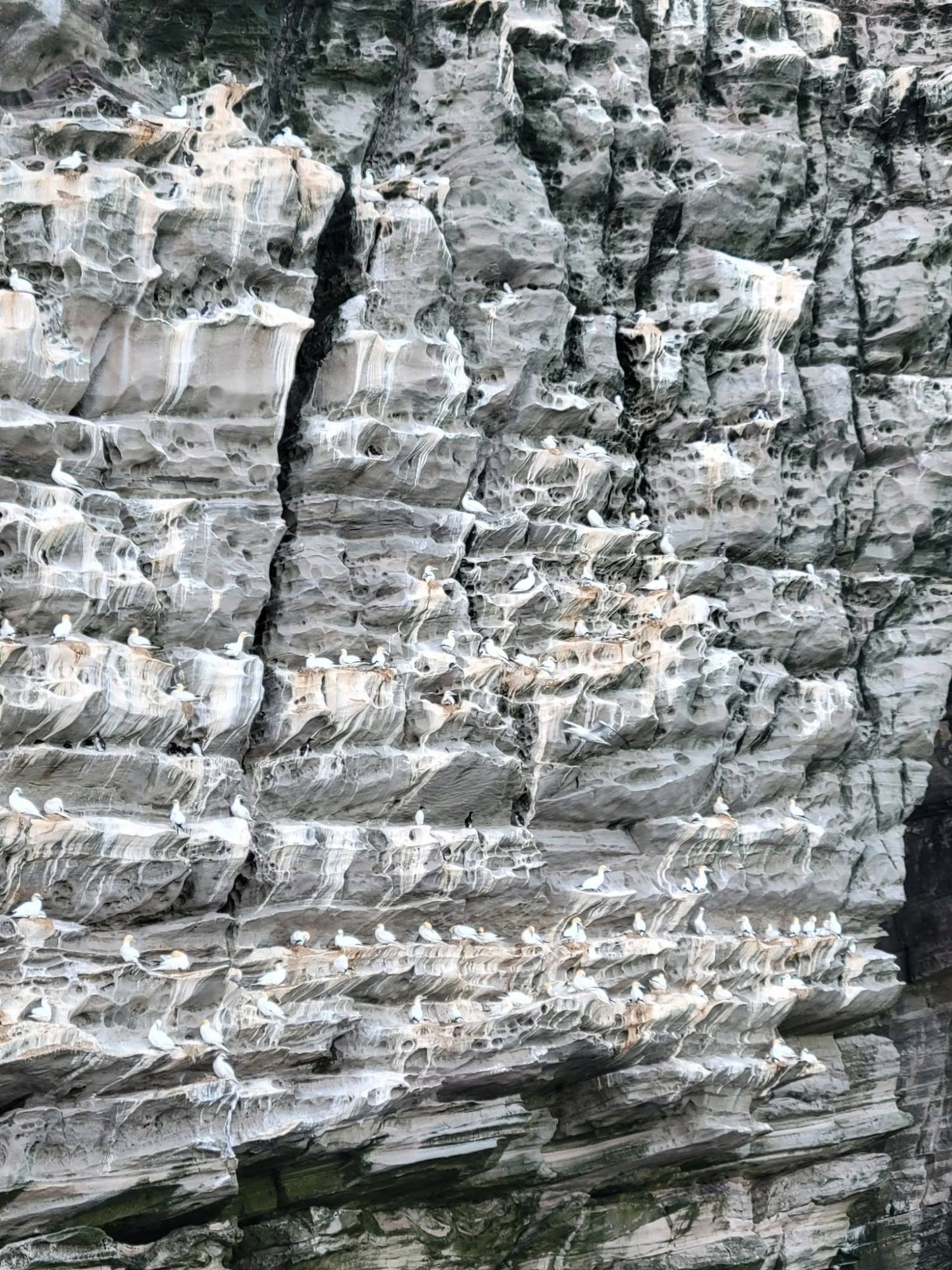 Ellen Goldman Sails the Wild Edge of the North Atlantic Aboard Seabourn Venture — Iceland
