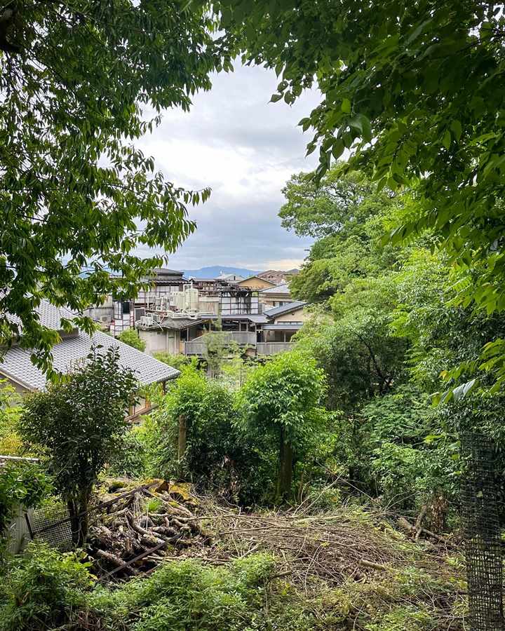 Japan — Jessica Traina's travel story