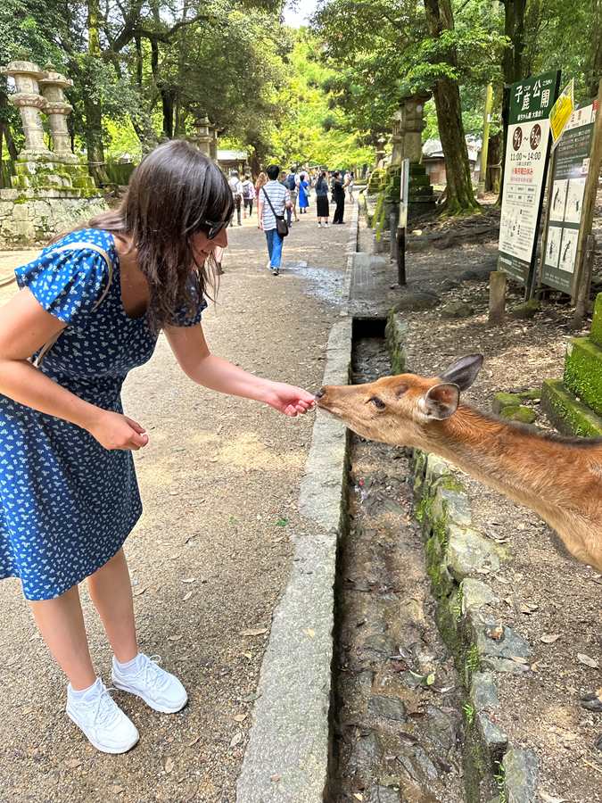 Japan — Jessica Traina's travel story