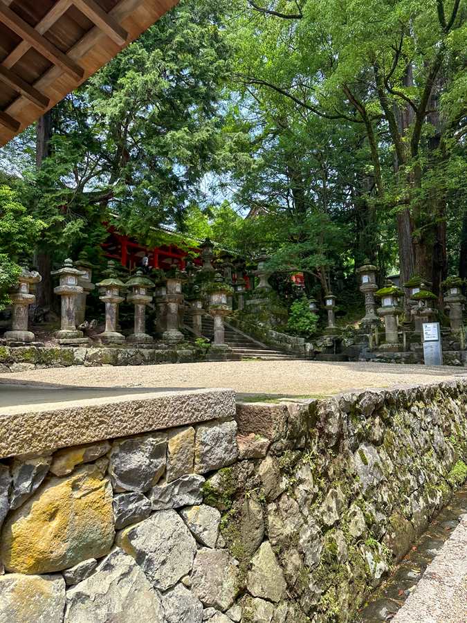 Japan — Jessica Traina's travel story