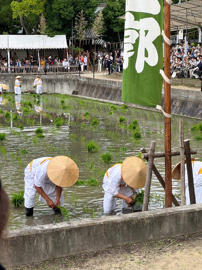 Japan — Jessica Traina's travel story