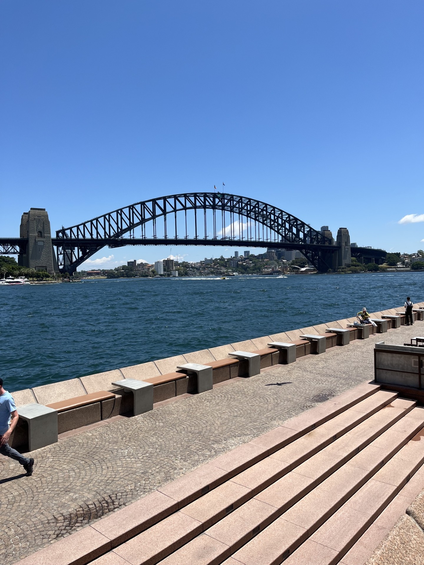 Carol Nickell's Journey Through New Zealand and Australia Reveals a Destination Far Bigger Than the Brochure — Australia
