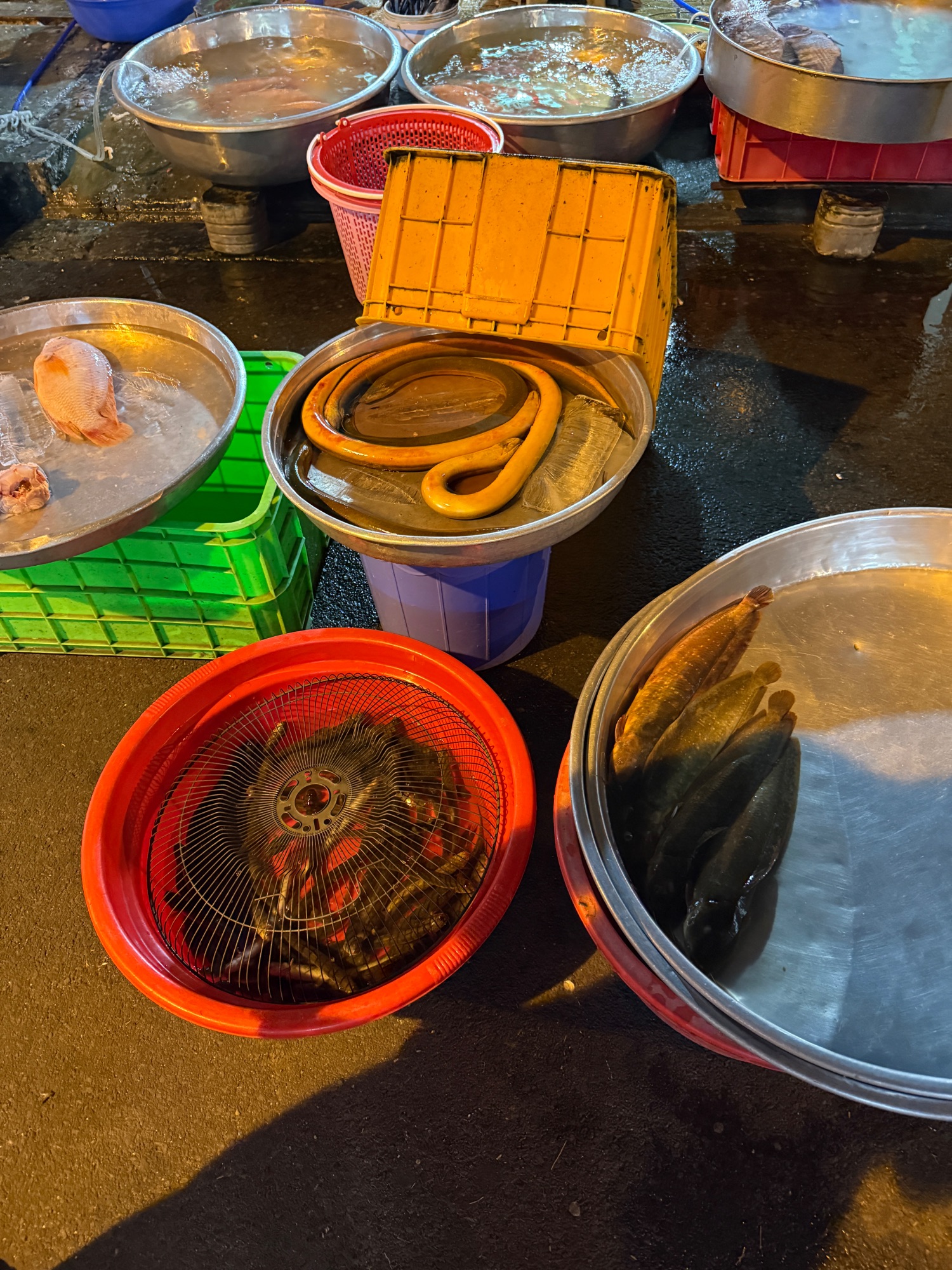 Staircase descending into darkness with weathered concrete walls and a green plastic container visible above