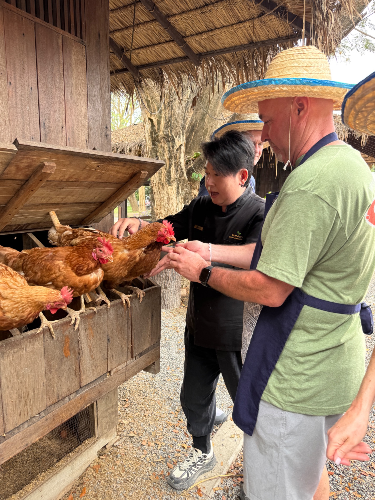 Man feeding brown chickens from a wooden enclosure during a farm visit wearing a straw hat