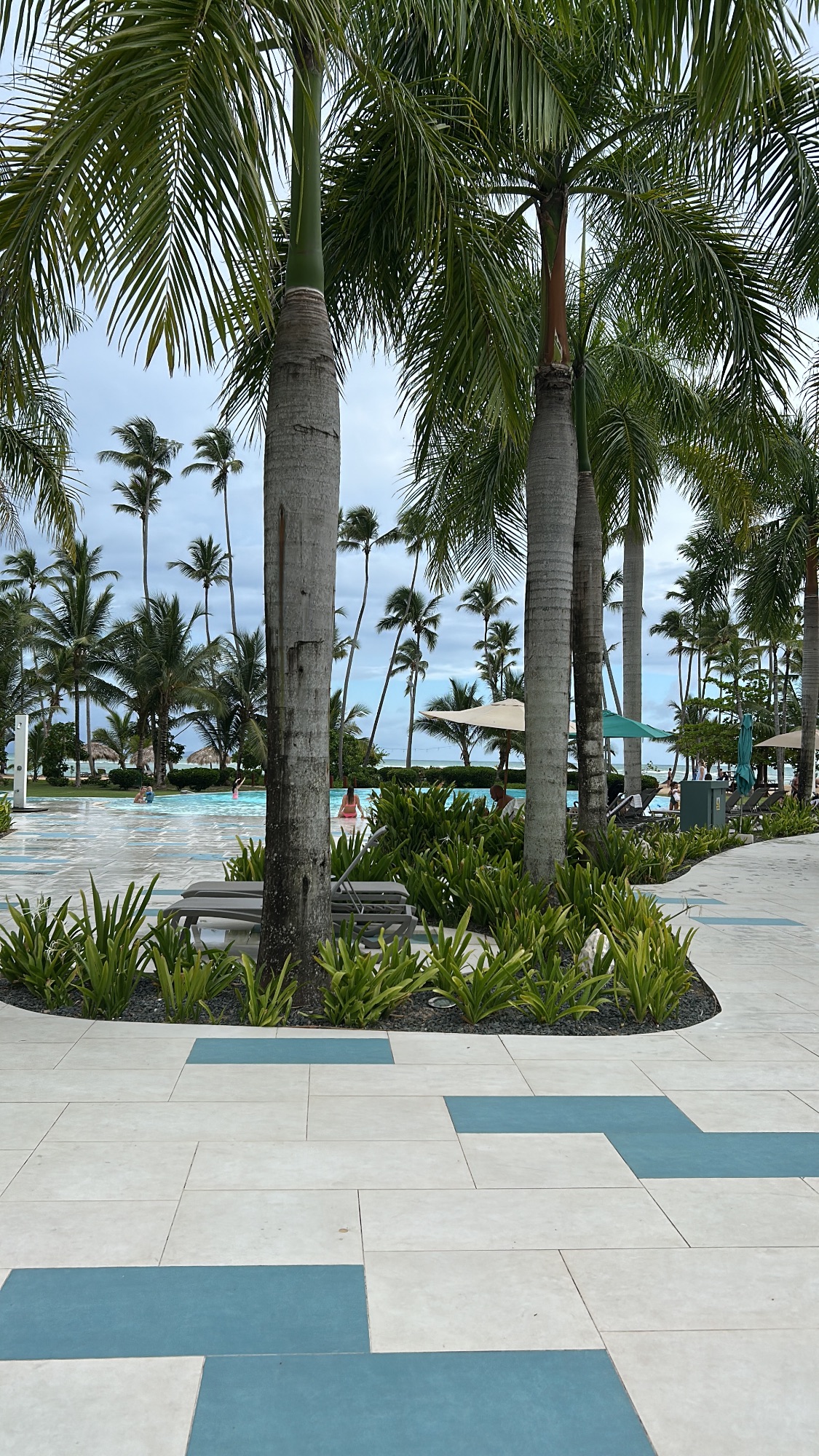 Tall palm trees framing a resort pool area with white umbrellas and ocean view beyond