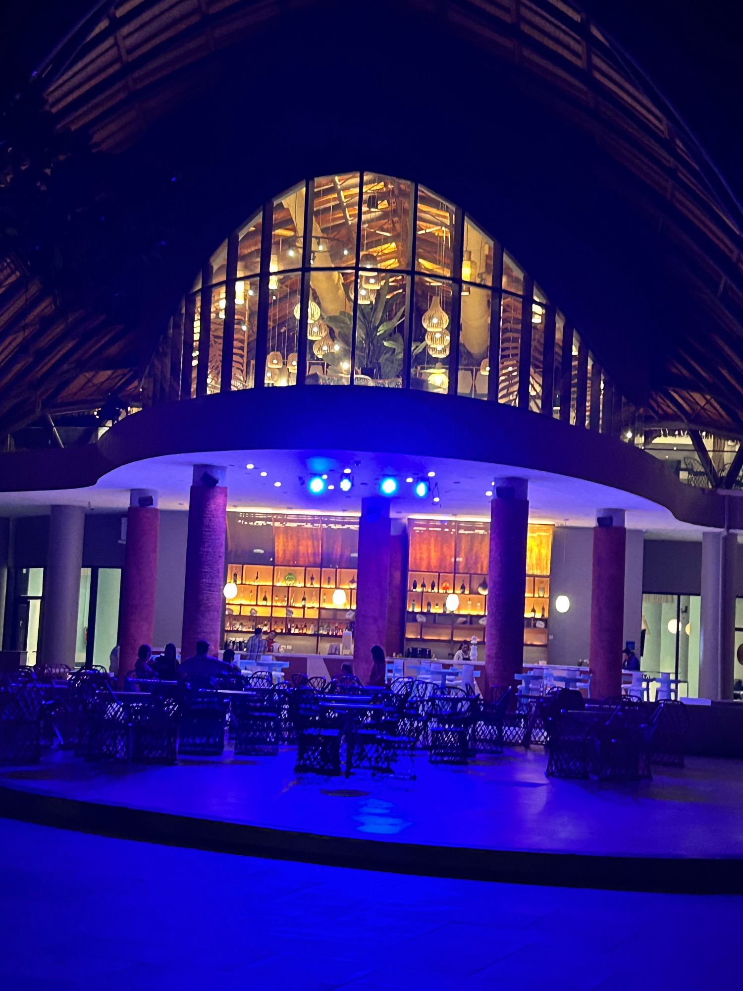 Illuminated bar and lounge area at night with blue lighting and palm tree silhouettes