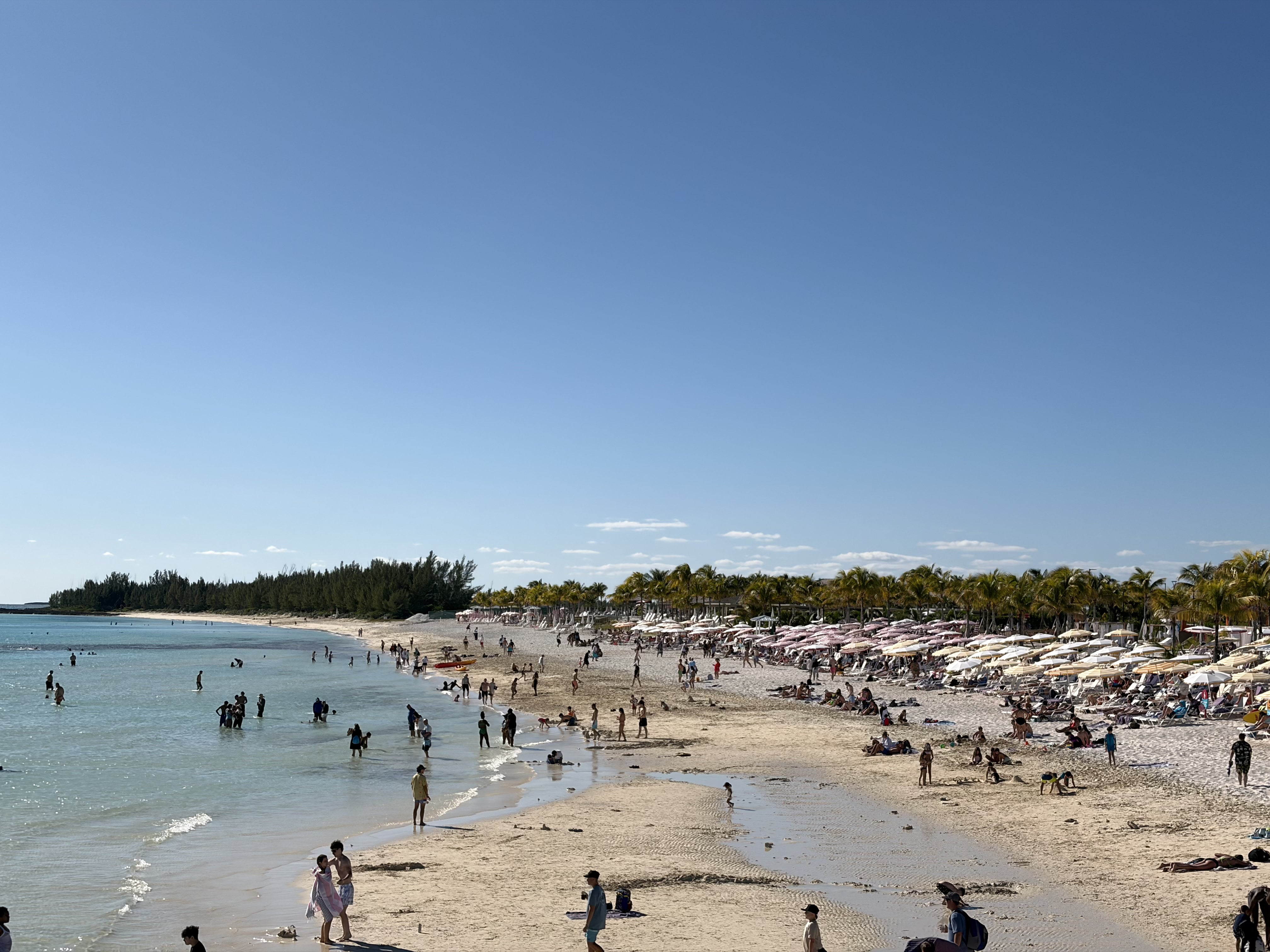 Beach scene with turquoise water, white sand, and palm trees lining the shore with swimmers