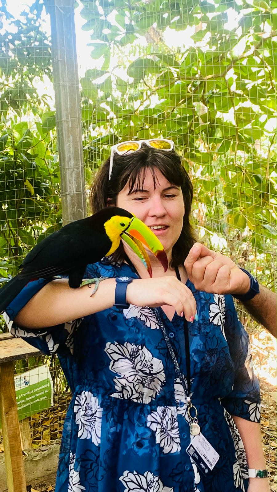 Woman smiles while holding a colorful toucan on her arm at a wildlife sanctuary during a Caribbean cruise