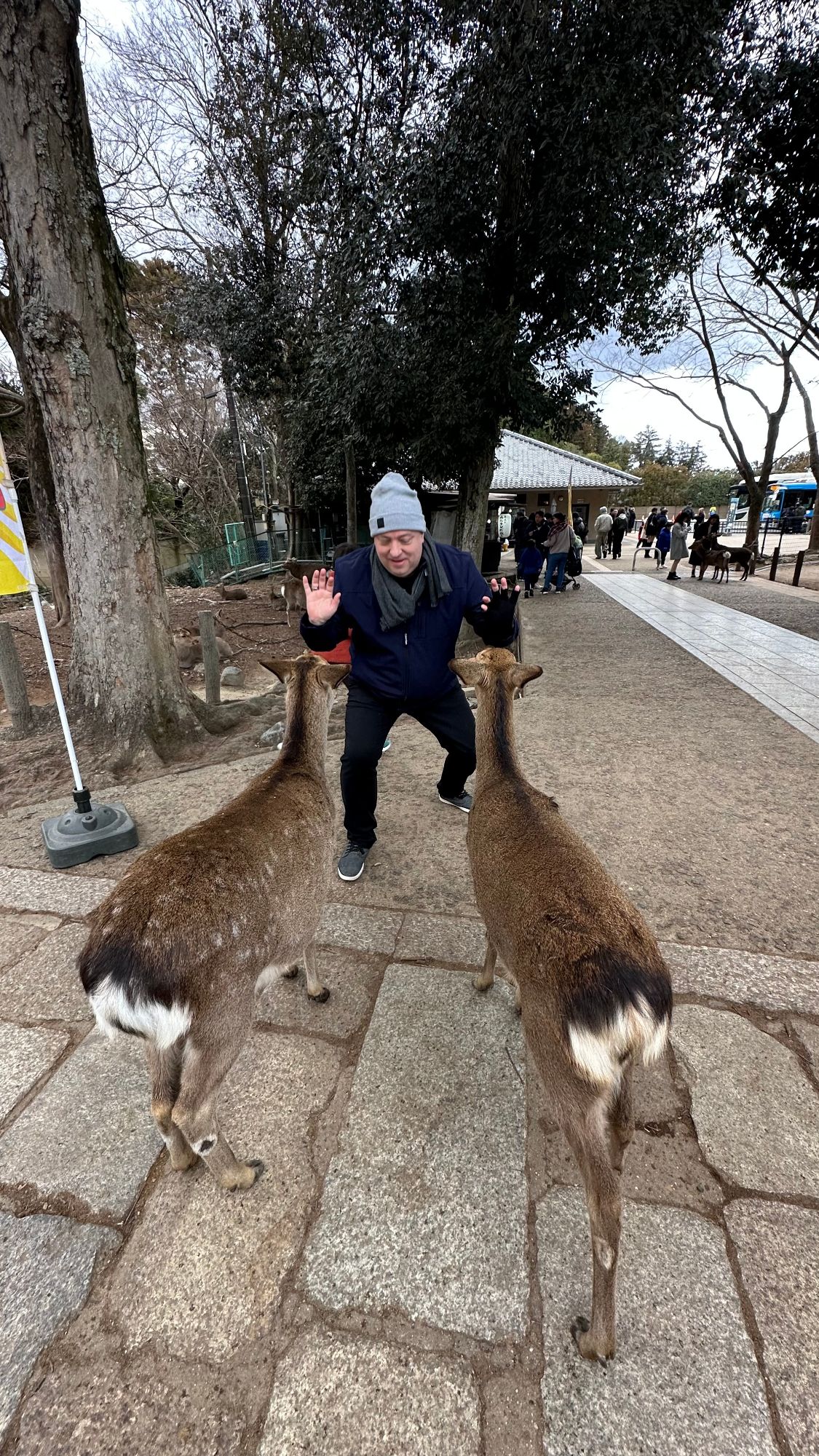 Japan — David Petlin's travel story